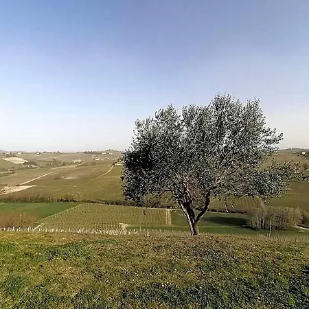 Bed and breakfast Tenuta Le Calosso