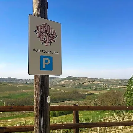 Tenuta Le