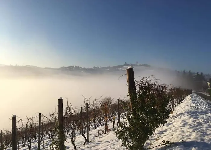 Tenuta Le