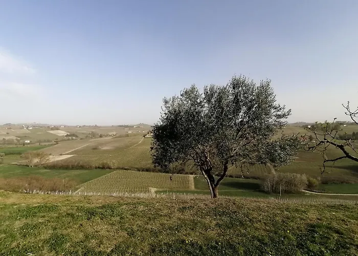 Tenuta Le Калоссо