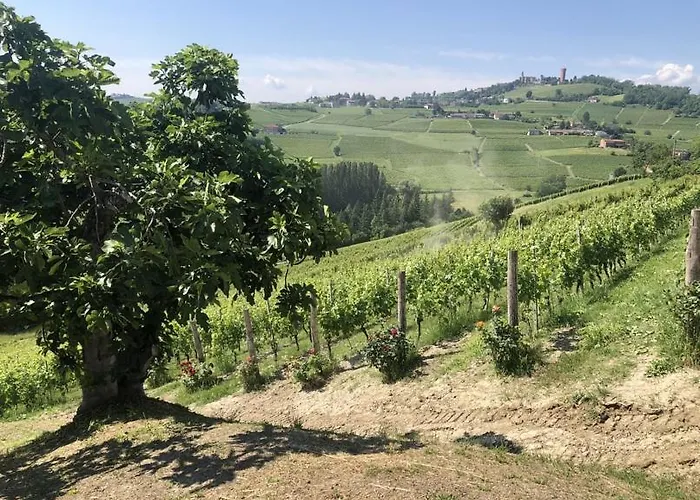 Bed & Breakfast Tenuta Le Calosso